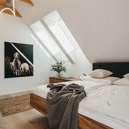 Dietrich - 62 Villa Leibnitz