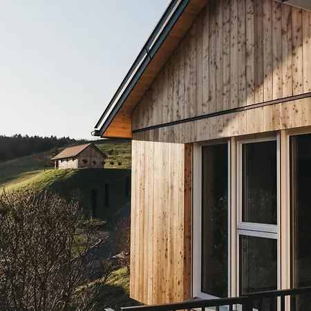 Dietrich - 62 Leibnitz