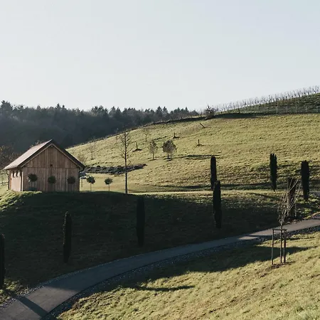 Dietrich - 62 Villa Leibnitz