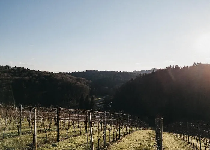 Dietrich - 62 Βίλα *